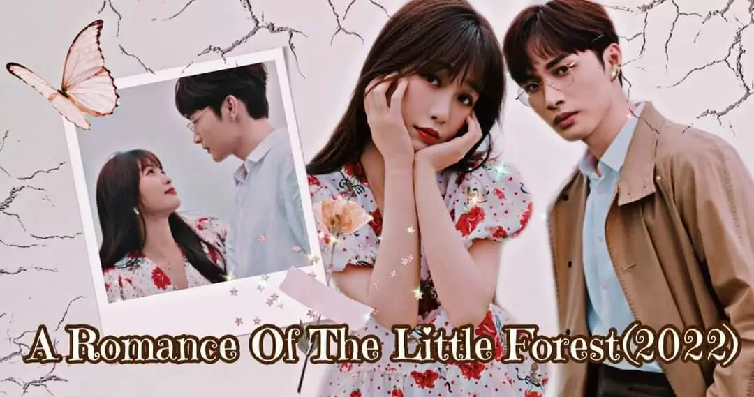 A Romance of the Little Forest 13.Bölüm