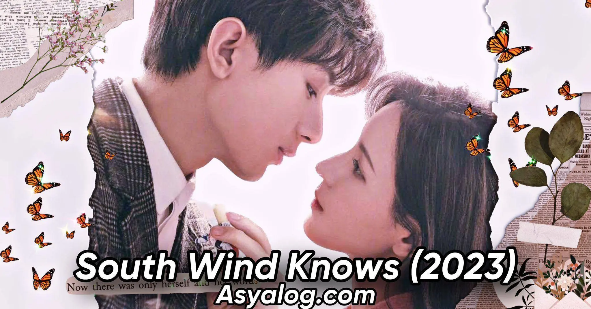 South Wind Knows 31.Bölüm