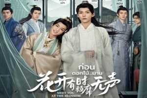 Meet You at the Blossom 2024 Tayland 5.Bölüm