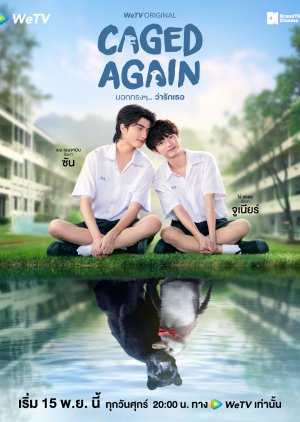 Caged Again 2024 Tayland Caged Again izle Türkçe altyazılı Asyalog.com
