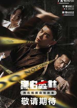 Black and White Forest 2024 Çin Black and White Forest Asyalog.com